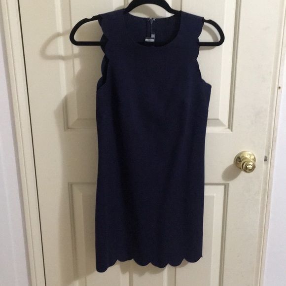 Jcrew Navy Scalloped Dress - Picture 4 of 16
